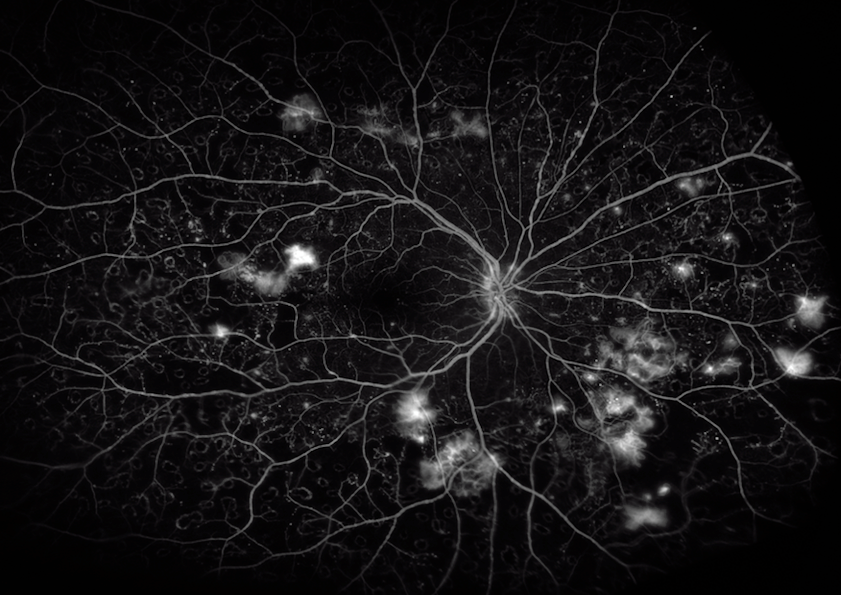 captura de pantalla 2025 09 04 a la(s) 17.38.24